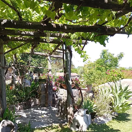 Il Vigneto 호텔 이스키아