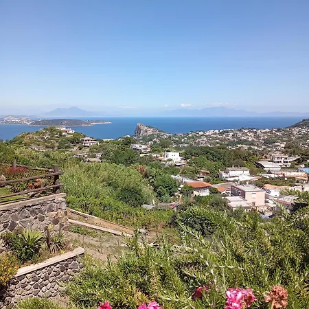 Hotel Il Vigneto Ischia