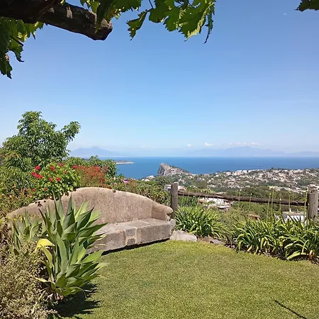 Hotel Il Vigneto Ischia